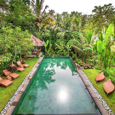 Villa Viola Ubud Exteriér fotografie