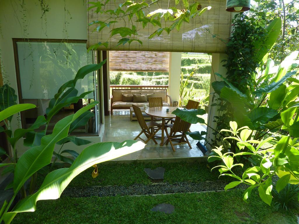 Villa Viola Ubud Exteriér fotografie