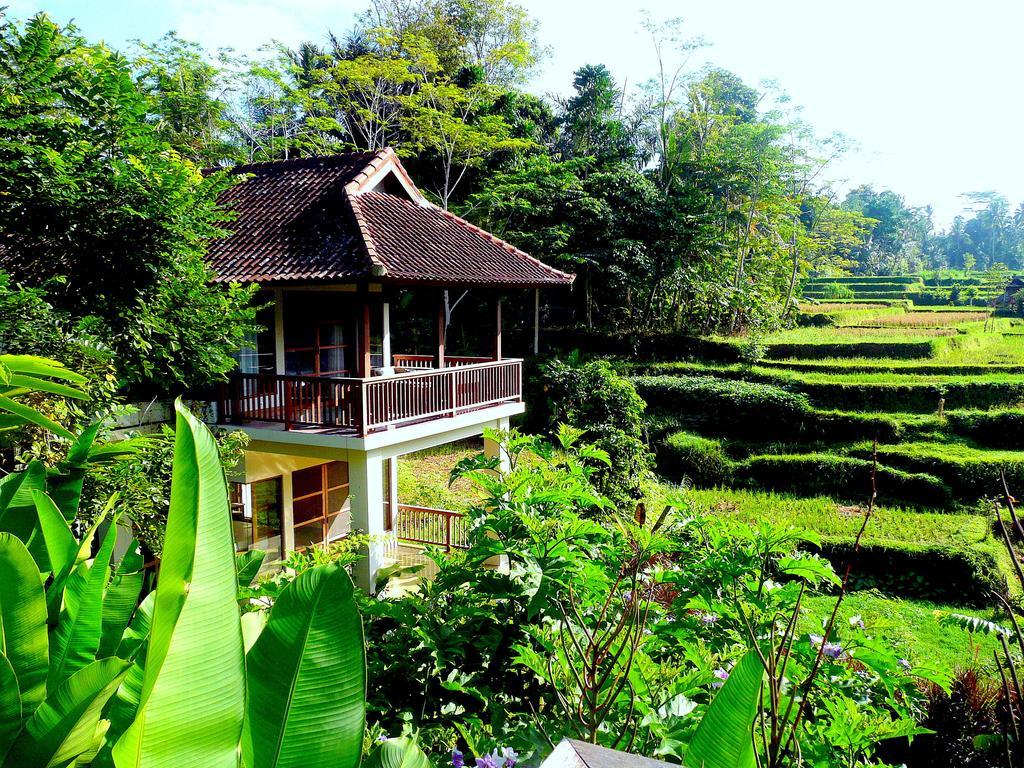 Villa Viola Ubud Exteriér fotografie