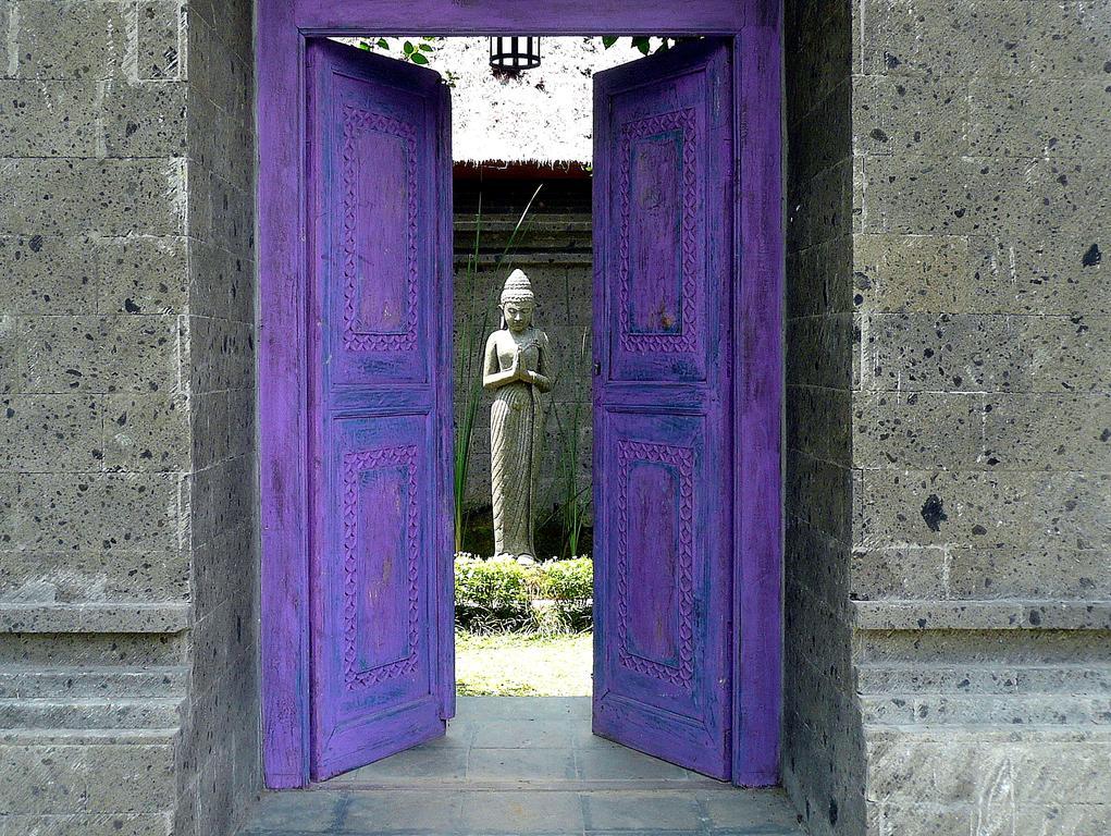 Villa Viola Ubud Exteriér fotografie