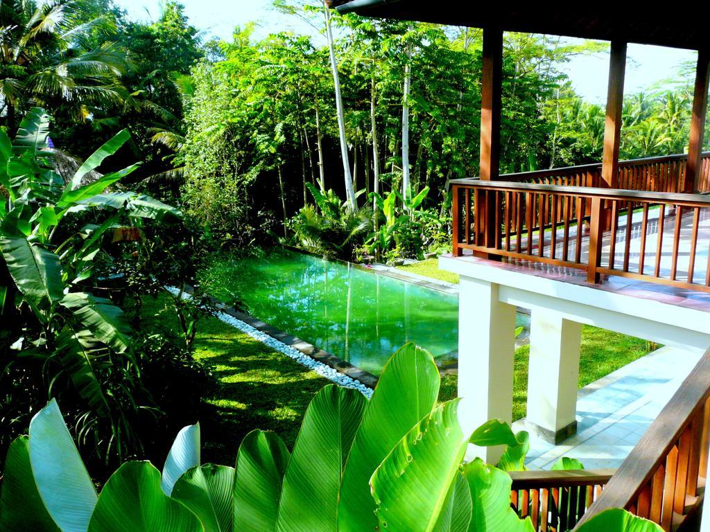 Villa Viola Ubud Exteriér fotografie