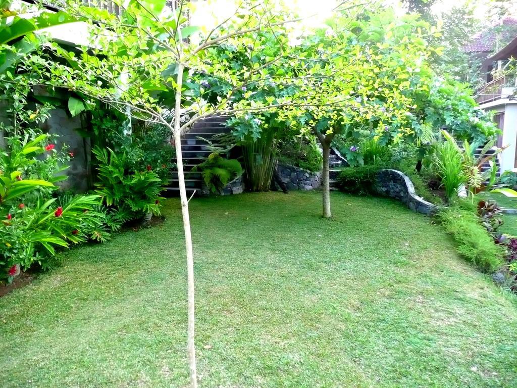 Villa Viola Ubud Exteriér fotografie