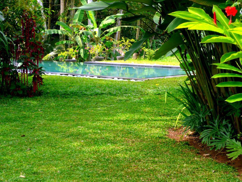 Villa Viola Ubud Exteriér fotografie