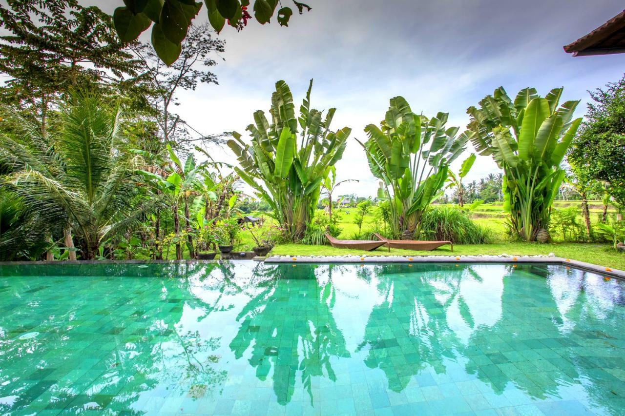 Villa Viola Ubud Exteriér fotografie